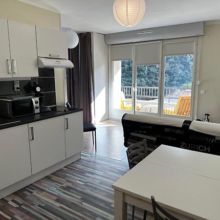 Studio Tout Equipe Amélie-les-Bains-Palalda Exteriör bild