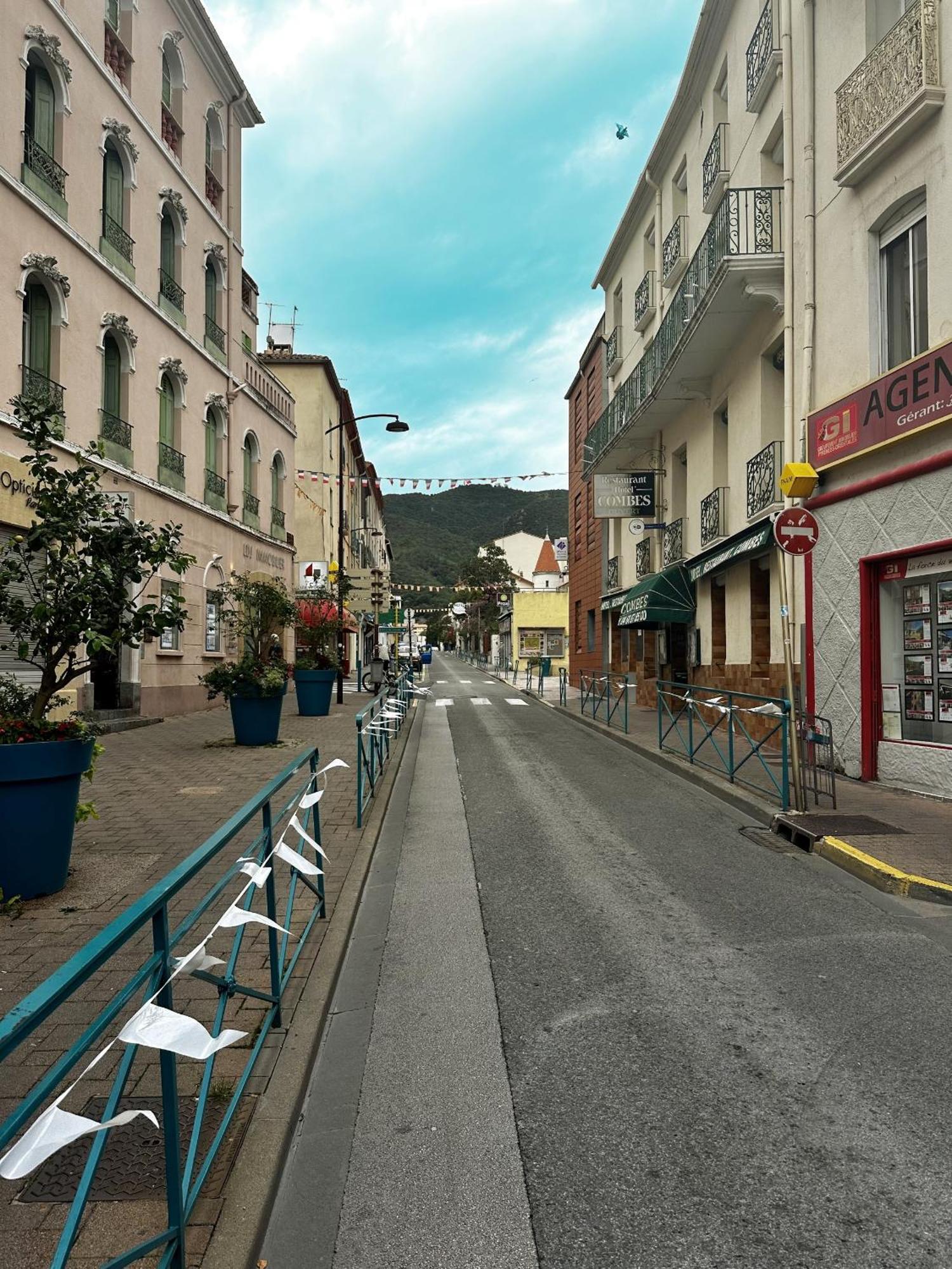 Studio Tout Equipe Amélie-les-Bains-Palalda Exteriör bild
