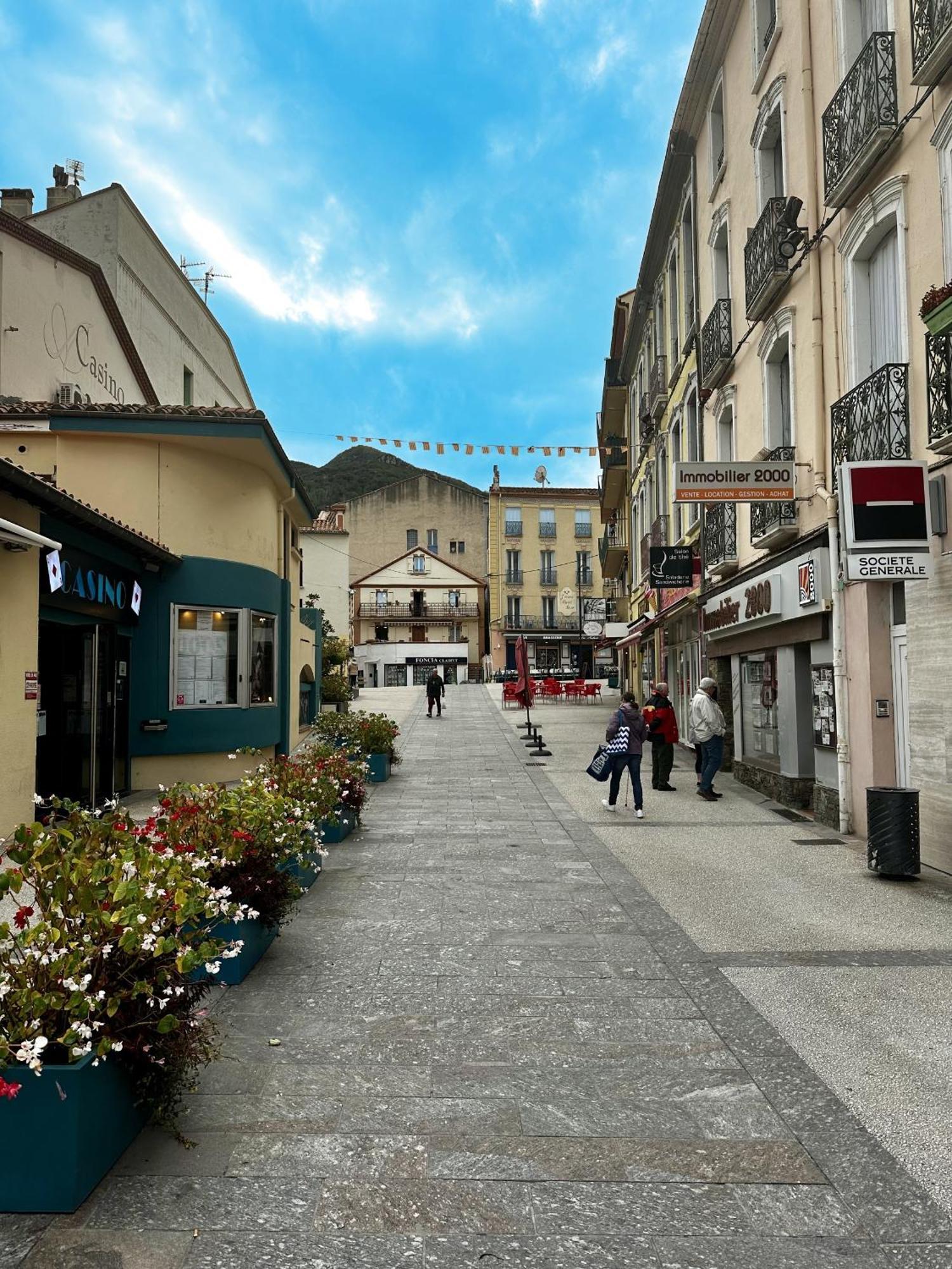 Studio Tout Equipe Amélie-les-Bains-Palalda Exteriör bild